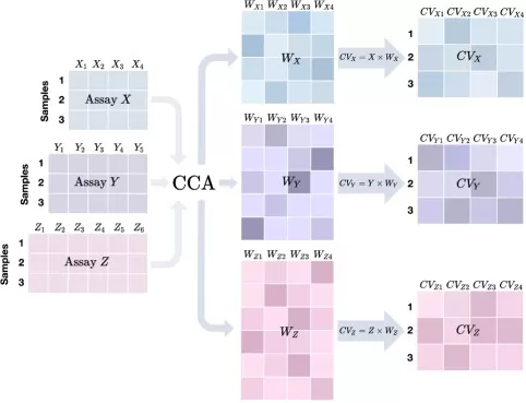 Cartoon illustration of a typical CCA-based method for three omics assays showing feature selection and component extraction